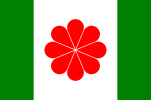 Tiwan flag.png