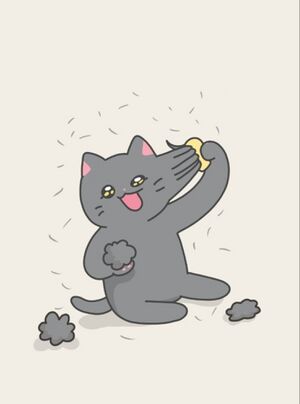 웨보.jpg