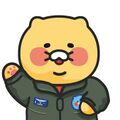 2026년 2월 9일 (월) 16:28 판의 섬네일