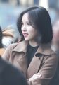 2018년 11월 16일 (금) 01:14 판의 섬네일