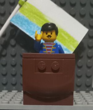 레고민국 김규탁 대통령 취임선서 재현 사진.jpg