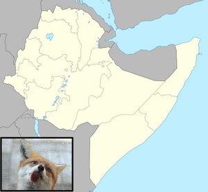 Timmy Ethiopia map.jpg