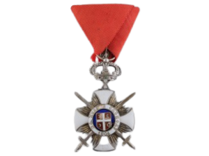 A serbian order 546cb107d1fc4-removebg-preview.png