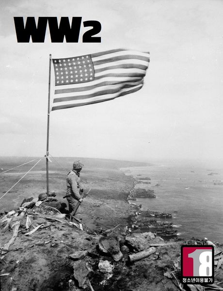 파일:Stars and Stripes on Mount Suribachi (Iwo Jima).jpg