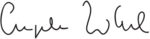 1593052631440.png