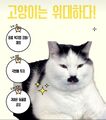 2025년 6월 28일 (토) 23:50 판의 섬네일