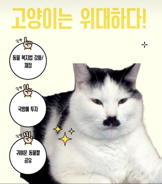 파일:메기사냥꾼 프로필.jpg