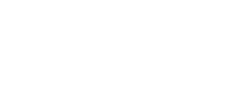 파일:민주진보당 흰색 로고타입.png