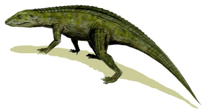 Protosuchus.webp
