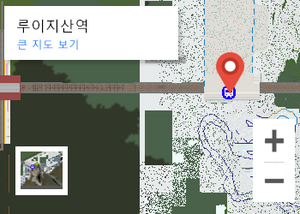 루이지산역 지도.png