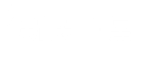 신민주당w2.png