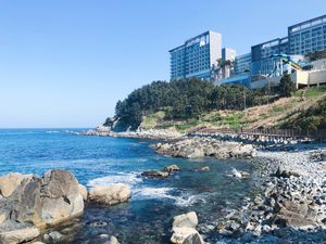 홍성군 해변.jpg