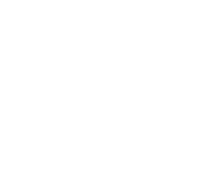 Australialiberalwhite.png