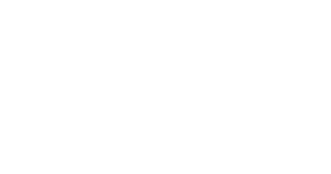 하늘미르 왕국 새로운미래당 하얀색.png