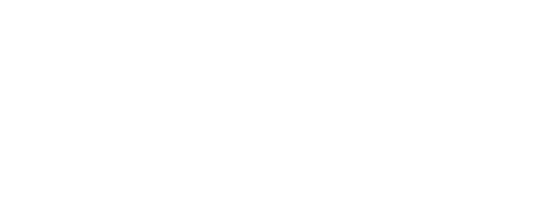 파일:ALPlogowhite.png