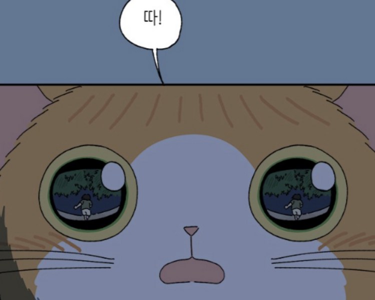 파일:티몬.png