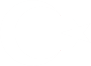 초승달과 별(흰색).png