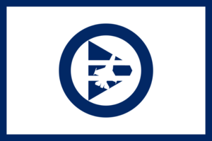 AIRFORCEFLAG.png