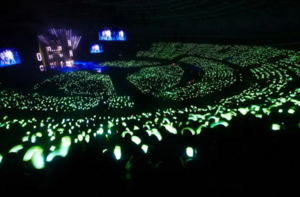 엔시티즌 콘서트.png