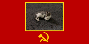 고양이 소비에트 사회주의 공화국의 국기.png