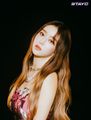 2021년 10월 1일 (금) 23:12 판의 섬네일