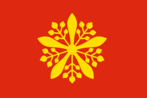 Timmy Manchuria flag.png