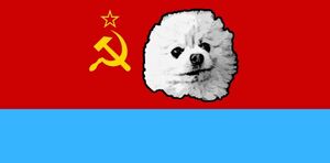 고색봇인민공화국국기.jpeg