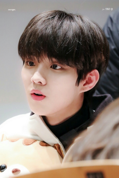 파일:이승배 이미지.png