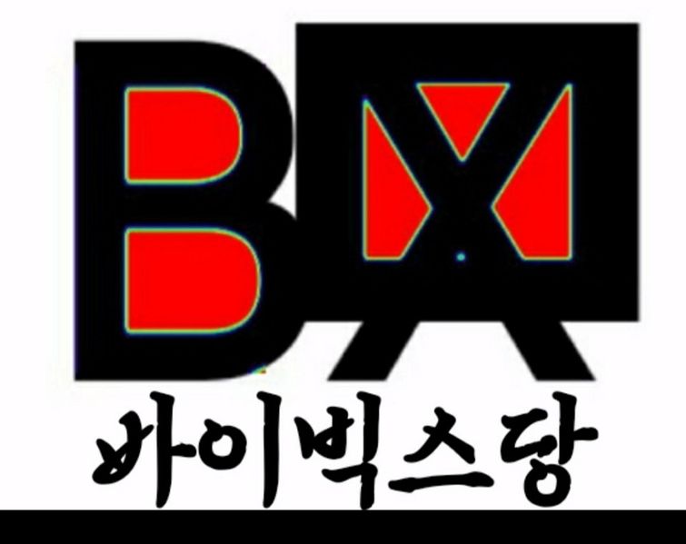 파일:바이빅스당 당로고.jpg