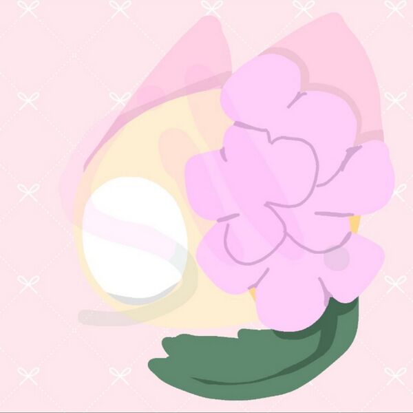 파일:실로치.jpg