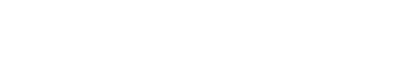 파일:새미래민주당 흰색 로고.png