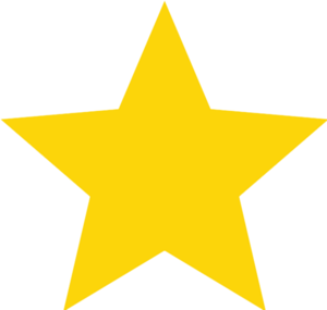 센타크 국기 좌측 별.png