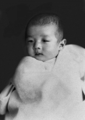 2023년 12월 14일 (목) 22:24 판의 섬네일