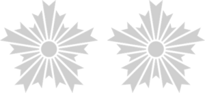 경감 계급장.png