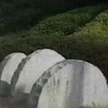 2025년 1월 25일 (토) 01:52 판의 섬네일