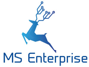 MS Enterprise.PNG