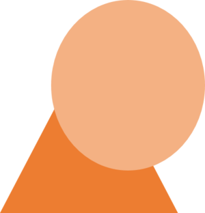 조선평화당 당로고.png