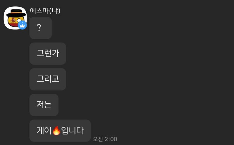 파일:I'm 게이에요.jpg
