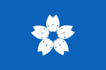 Timmy Pinsi Flag.png