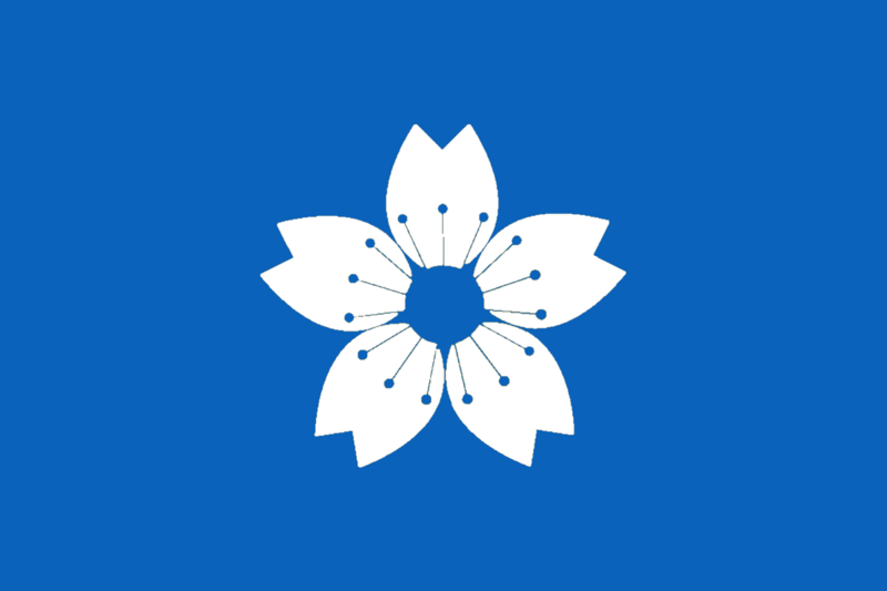 파일:Timmy Pinsi Flag.png