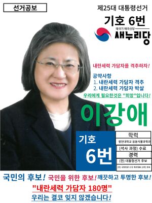 이강애 25대 대선 포스터.jpg