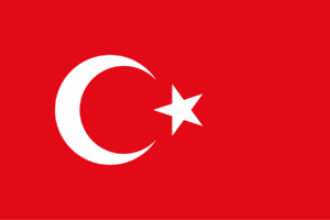 튀르키예 정부기.svg.png