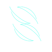 평화민주당.png