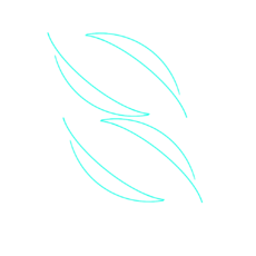 평화민주당.png