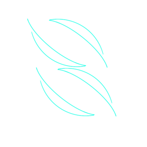 평화민주당.png