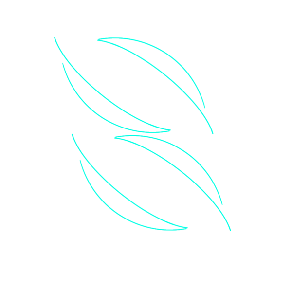 파일:평화민주당.png