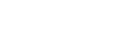 Project Z 문서관리팀.png