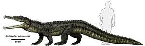 Smilosuchus adamanensis.webp
