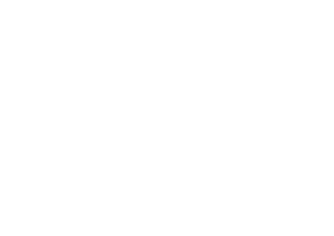 벚꽃 화이트.png