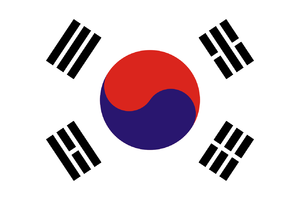 진한태극기.png